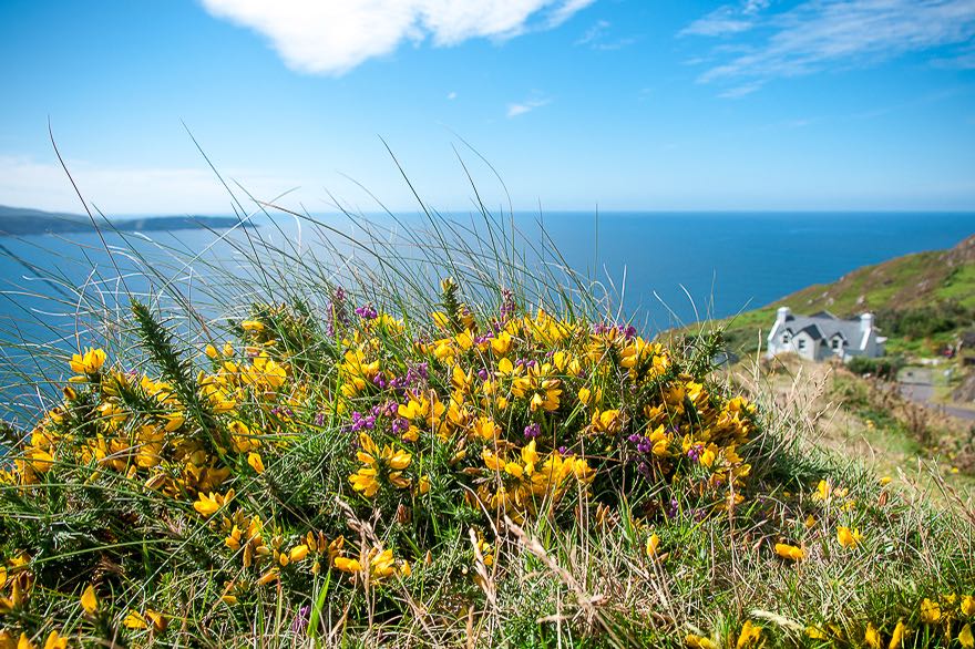 Foto Urlaub fuer Einsteiger Fotografen in Frankreich