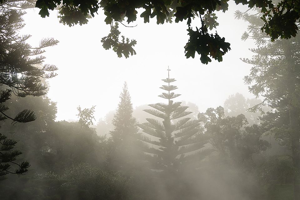 Fotoreise auf die Azoren | Gartenfotos und Landschaftsfotografie in Portugal