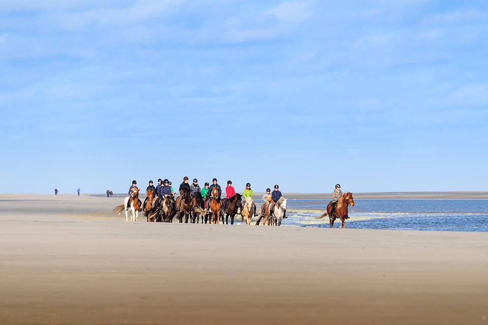 Fotoworkshop auf der ostfriesischen Insel