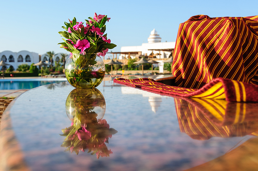 Schnorcheln am Hausriff vom gorgonia beach hotel