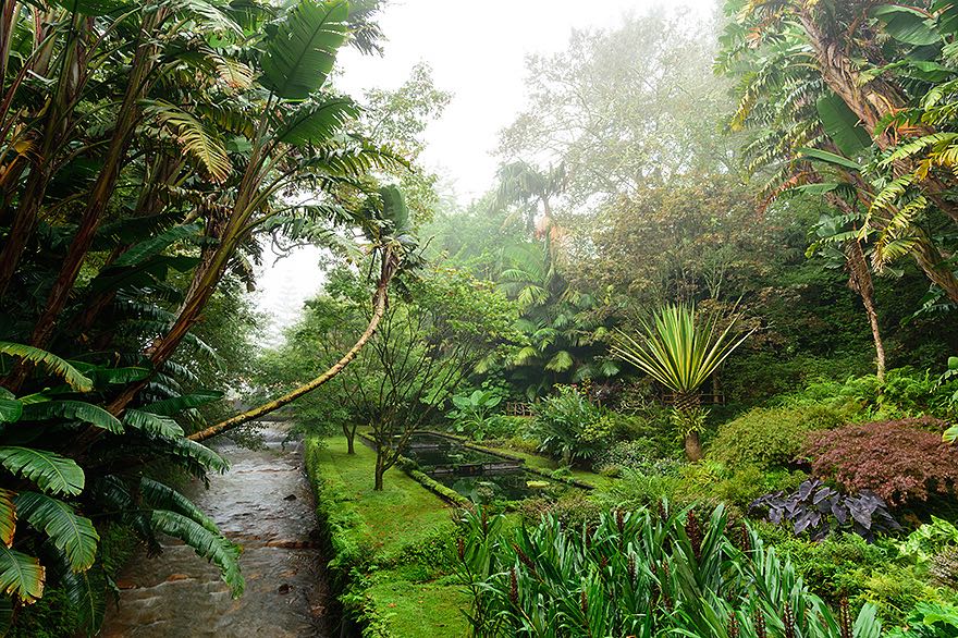 tropischer Garten
