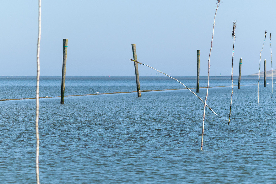 kreative Fotografie auf Baltrum