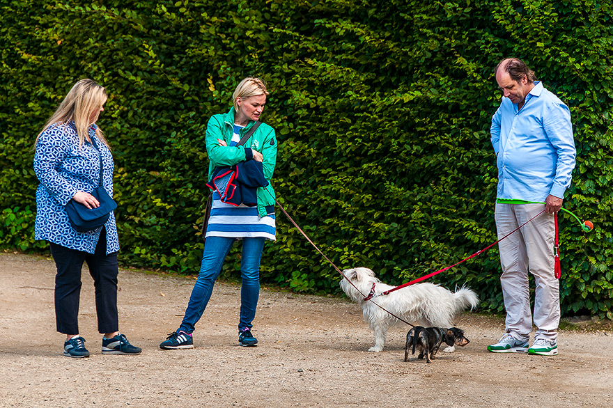 Fotografie Kurse im Park Sanssouci von Potsdam