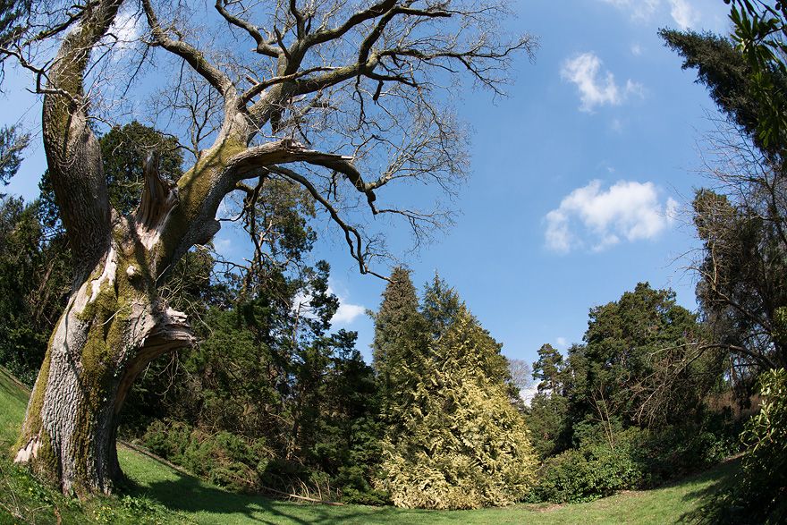 Schlosspark Martinvaast in Frankreich