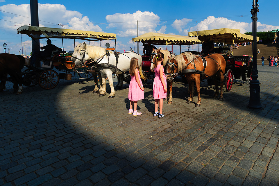 Fotokurse fuer Pferdefotografen in Dresden