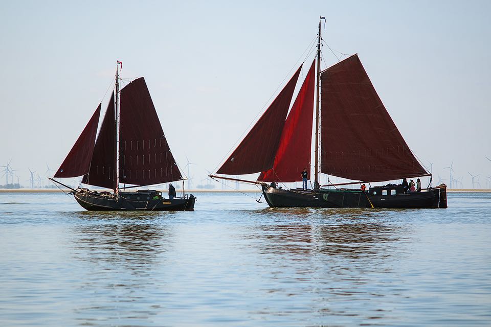 Kreuzende Segelboote vor der Nordseeinsel Spiekeroog