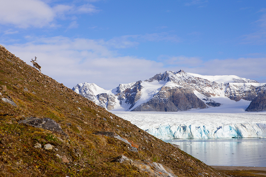 Expeditionsseereise mit der MS Fram von Hurtigruten in die Diskobucht von Groenland