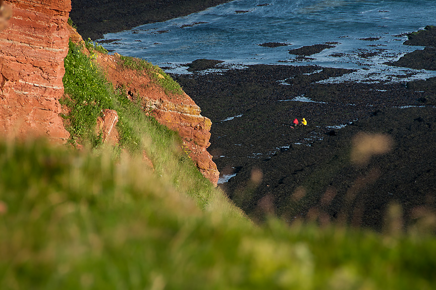 Das Felswatt von Helgoland