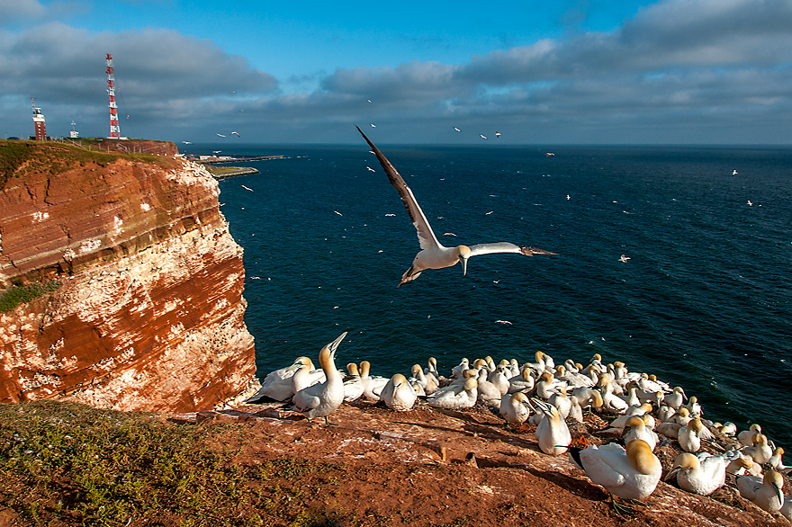 Kurzreisen fuer Fotografen nach Helgoland