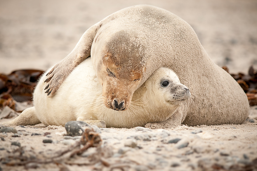 Kurzurlaub auf der Nordseeinsel Helgoland