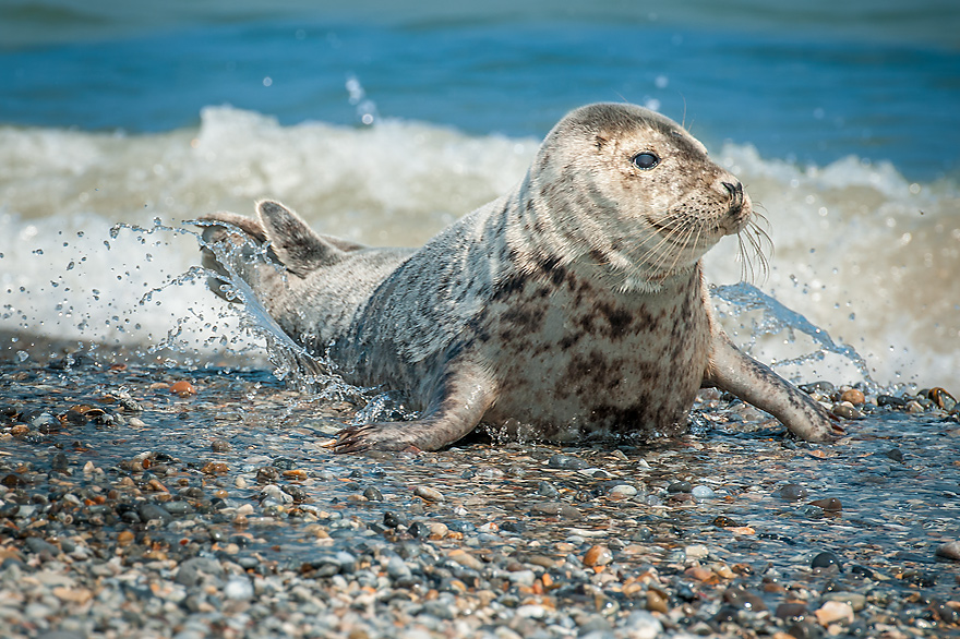 Tagesausflug fuer Fotografen nach Helgoland