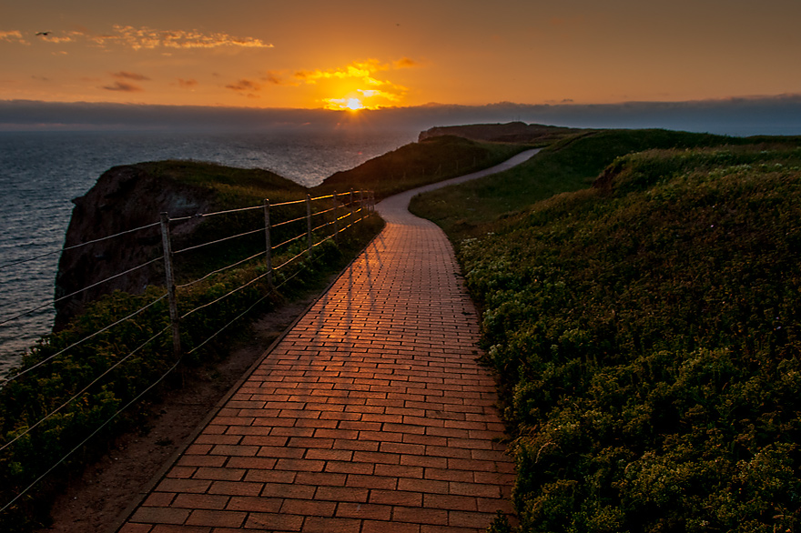 Wanderweg im Sonnenuntergang auf dem Oberland von Helgoland