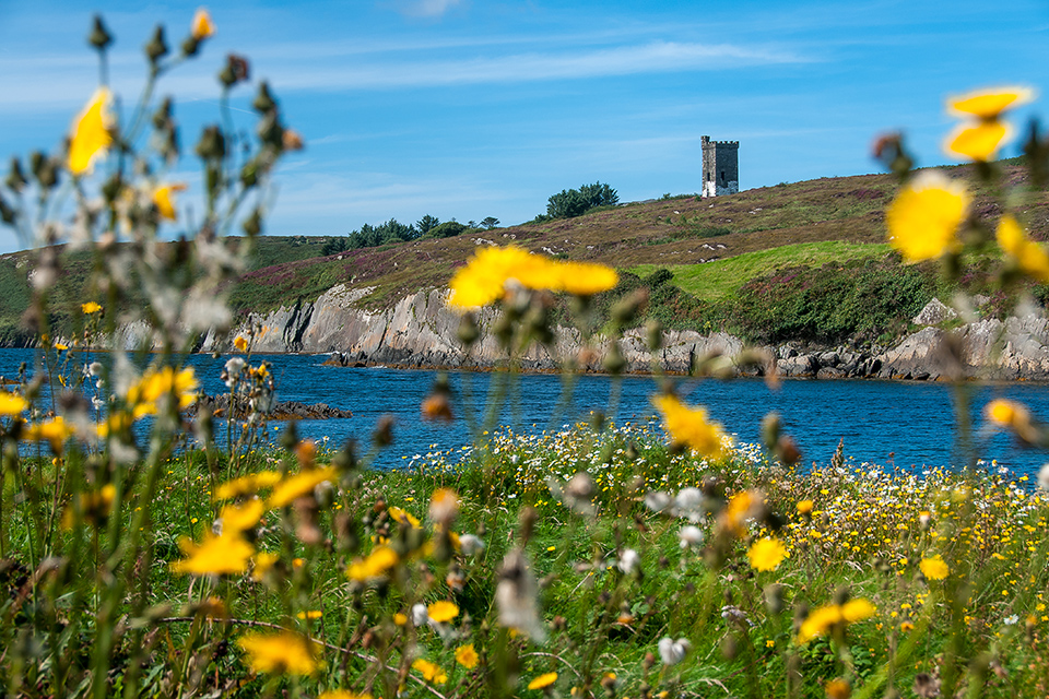 Felsklippen am Sheps Head in Irland