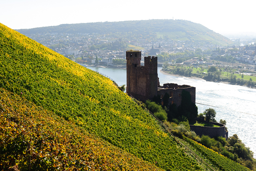 Fotokurs in der Ruine Burg Ehrenfels