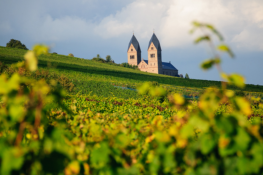 Weinlese am Rhein richtig fotografieren lernen