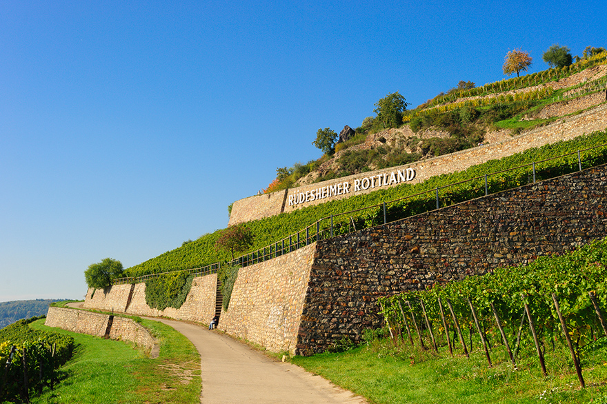 wandern und fotografieren lernen auf dem Rheinhoehenweg