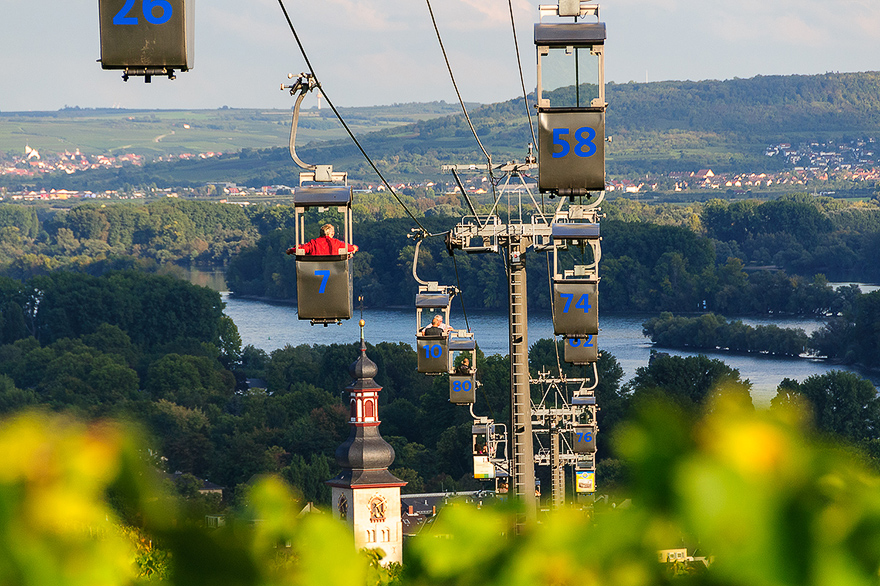 Fotokurs mit Wanderungen in den Weinbergen am Rhein