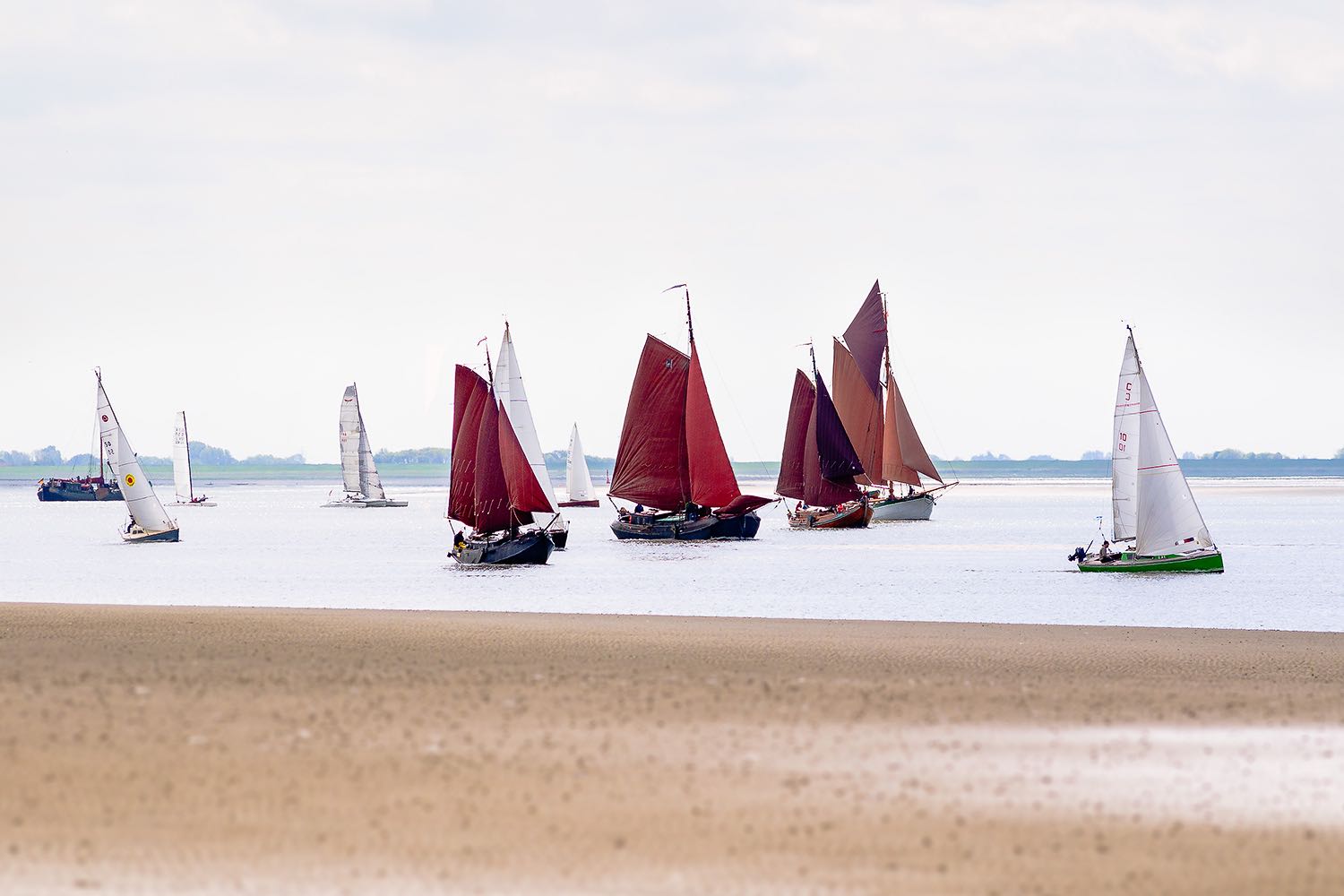 Segelfoto Seestern Gedaechtnis Regatta