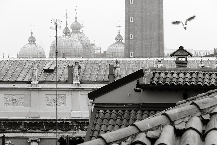 Blick ueber die Daecher von Venedig auf den Markus Dom