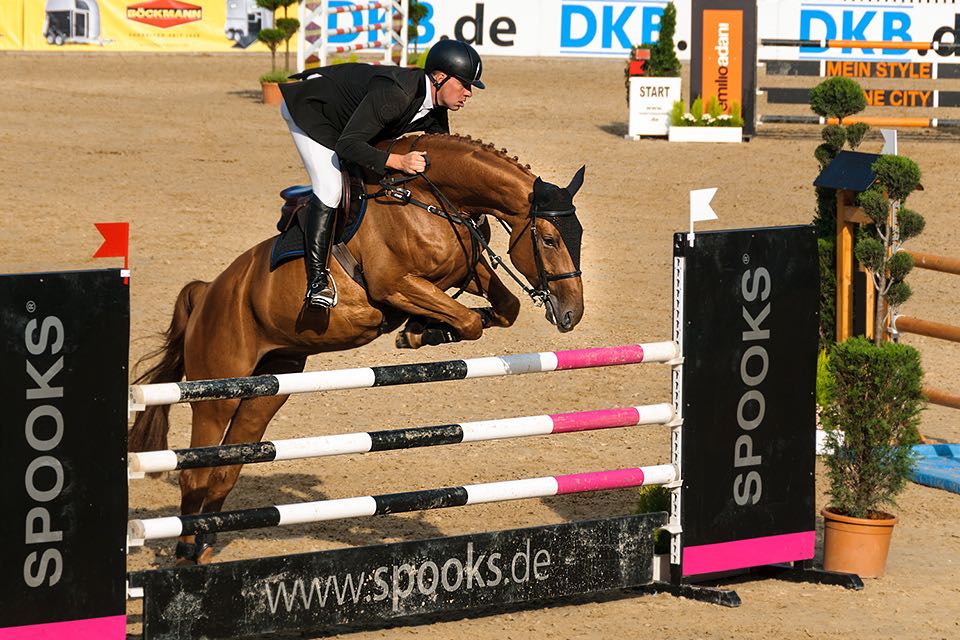 Fotografie Pferdespringen in Warendorf